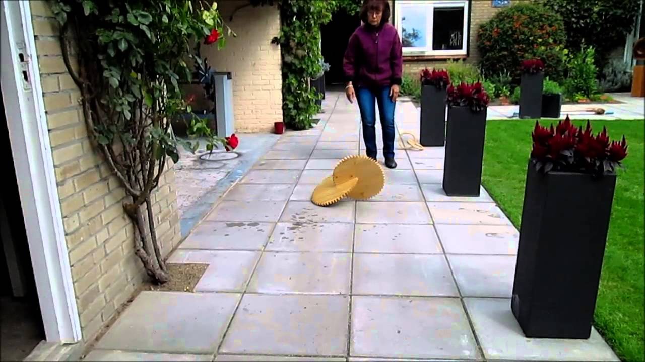 Oloïde Grenen gekarteld