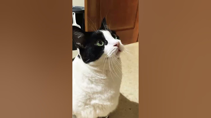 Tu me quieres?
