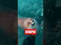 He was trapped under the ice… you won't believe the ending! 🥺❄️ #animals  #shorts