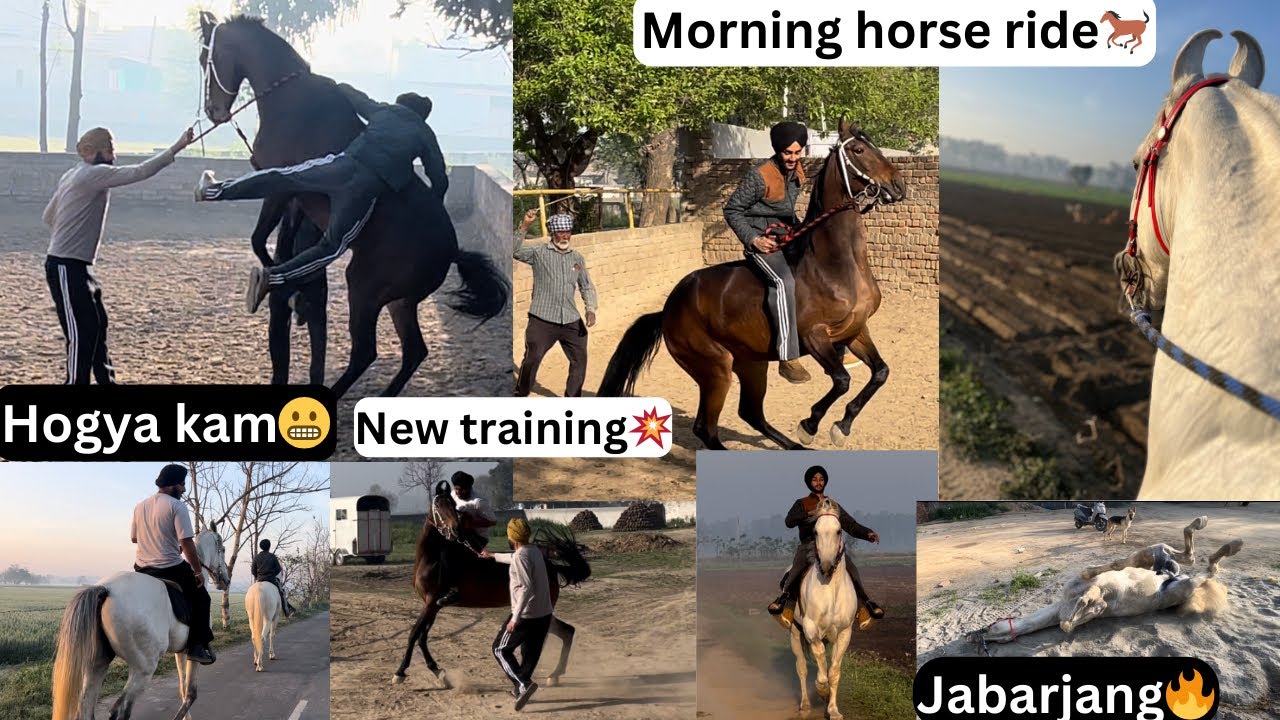 Day-1 training of apsra💥//JABARJANG+JODHA horse ride🔥// dekho hogya kam😬