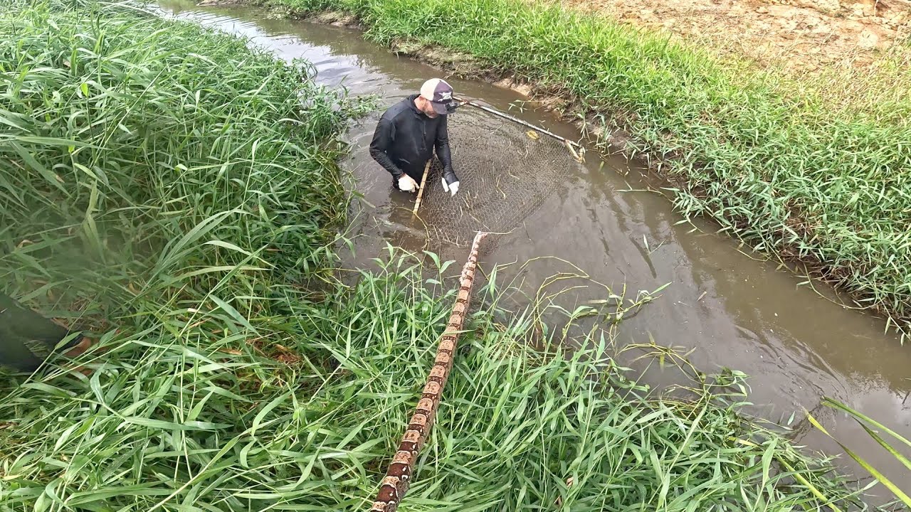 Dessa vez quase que o coração para de bater pescaria de peneirão! 
