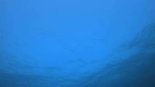 Abstract Blue Underwater Looping Motion / Animation Background | Blue Background for Web Design