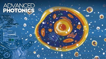 High-throughput computational microscopy imaging