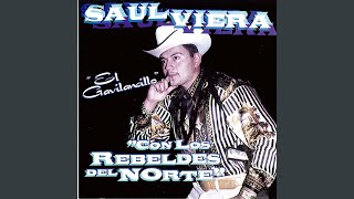 Video thumbnail of "Saul Viera - Soy Piedra Que Con El Tiempo"