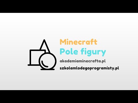 Minecraft: Pole figury