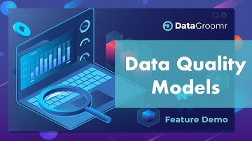 Data Quality Models Video Tutorial