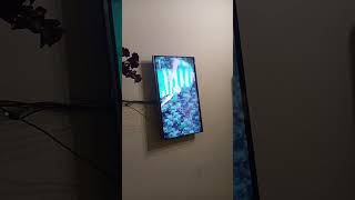 German 🇩🇪 Cup Final Victory 1/3 Dortmund 2-0 Bremen  