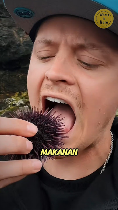 The Delicious Secret Behind Spiny Sea Urchins!!