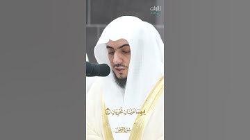﴿وَلِمَنْ خَافَ مَقَامَ رَبِّهِ جَنَّتَانِ﴾. الشيخ الوليد الشمسان تلاوة من سورة الرحمن