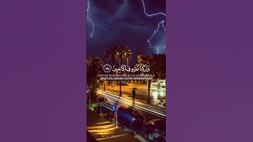 ﴿سلام على نوح في العالمين﴾ ❤️.          •القارئ| محمد اللحيدان.                     •سورة| الصافات