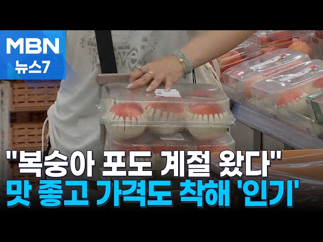 "복숭아·포도의 계절이 왔어요"…올해는 가격도 착하고 맛도 좋네 [MBN 뉴스7]