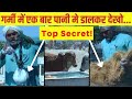 कैल्शियम भी मिलेगा और दूध भी बढ़ेगा | Gir Cow Summer Water Management