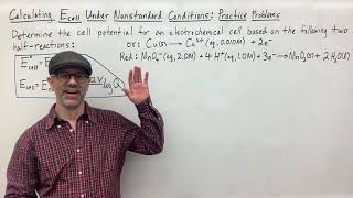 Calculating the Cell Potential Under Nonstandard Conditions:  Practice Problem #1 (Updated)