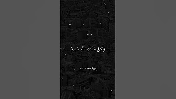 تلاوة خاشعة بصوت الشيخ ماهر المعيقلي ارح سمعك