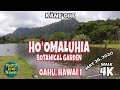 Hoomaluhia Bontanical Garden Oahu Hawaii May 26, 2020 Fun Things to do in Hawaii Virtual Walk