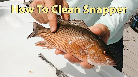 How To Clean Snapper (When Cooking Them Whole)