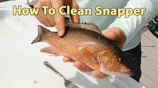 How To Clean Snapper (When Cooking Them Whole)