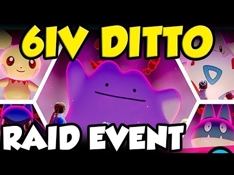6IV DITTO EVENT! THE BEST Pokemon Sword and Shield Raid Event Ever! - 6IV DITTO EVENT! THE BEST Pokemon Sword and Shield Raid Event Ever!