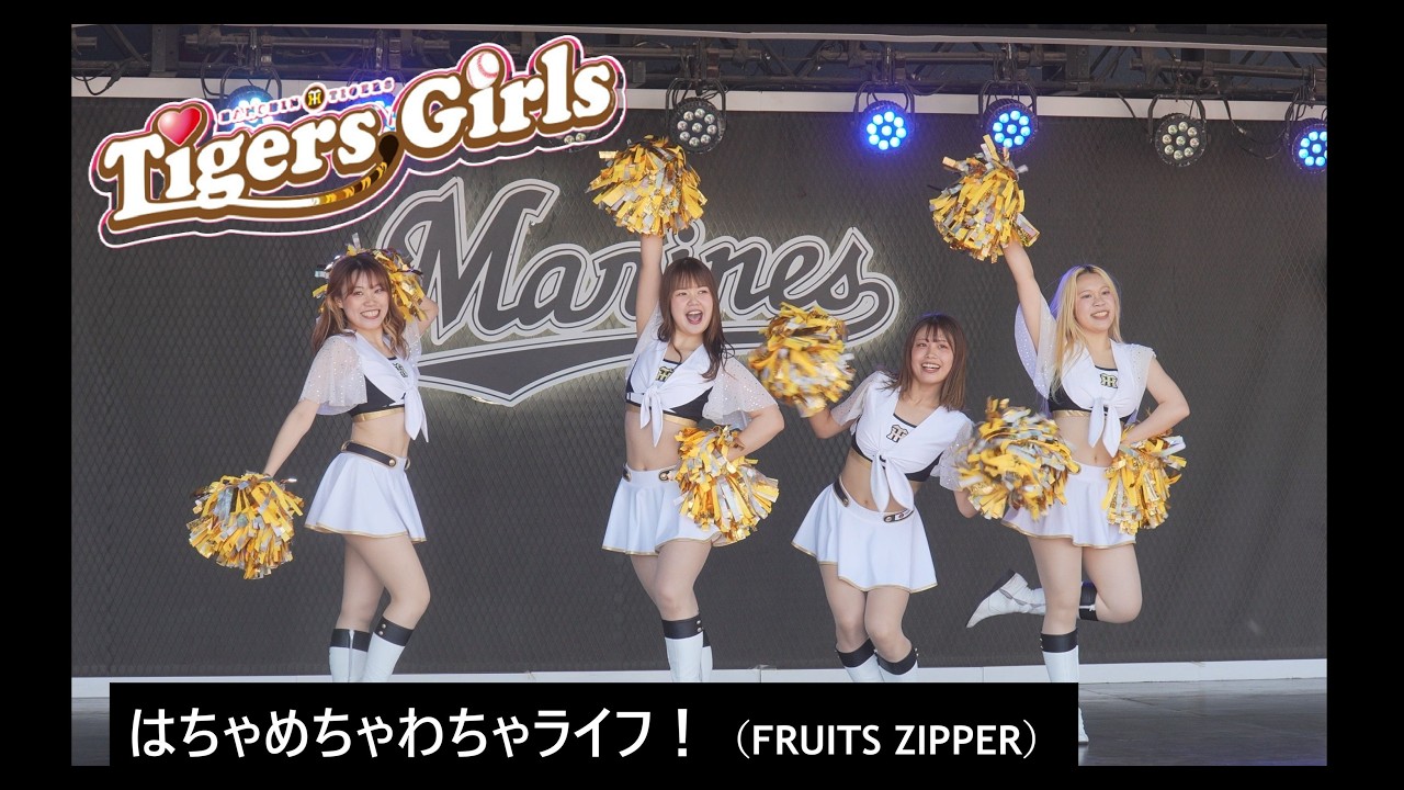 20260530 ZOZOMARINE (04) ビジター応援 「Tigers Girls」 はちゃめ
