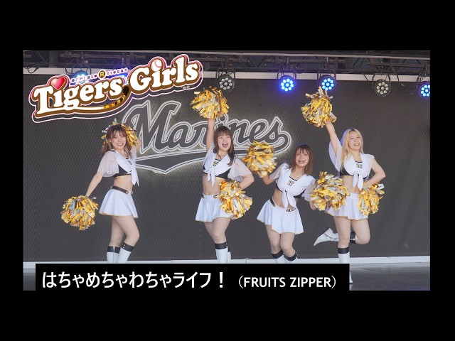 20260530 ZOZOMARINE (04) ビジター応援 「Tigers Girls」 はちゃめ