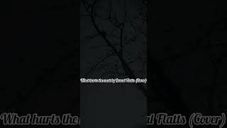 What hurts the most by Rascal Flatts cover 2023