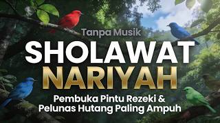 Download lagu Sholawat Nariyah, Attain Halal Sustenance & Eternal Peace