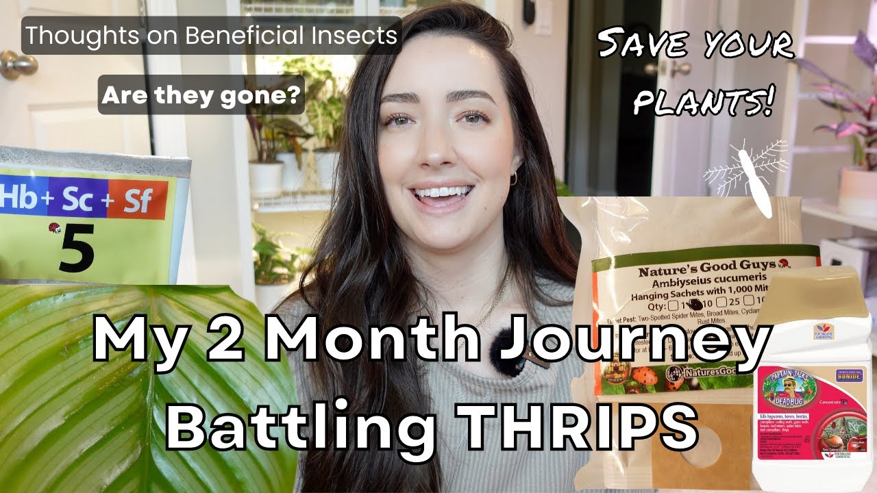 How to Get Rid of THRIPS! My Entire 2 MONTH Thrips Journey! Using
