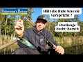 Challenge auf Barsch und Hecht | Hält die Rute, was sie verspricht?