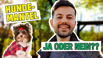 Wann macht ein hundemantel Sinn?