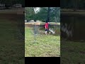 Had to sacrifice the feet for the birdie #discgolf #discraft #punisher #waterhazard #birdie