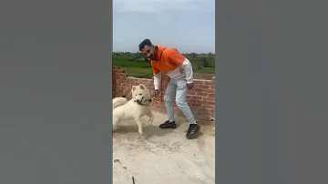 حد يعرف الأنواع دي أصلا اوعي تقارن نفسك بيا 