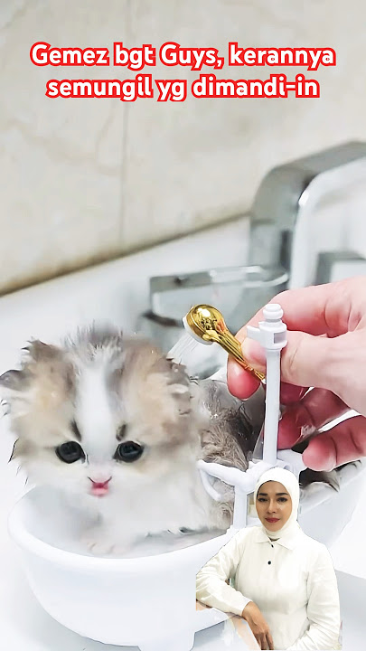 Gemez bgt Guys, krannya seMvngil yg dimandiin #cat #kucinglucu #shorts