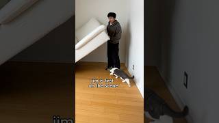how to instantly find your cat