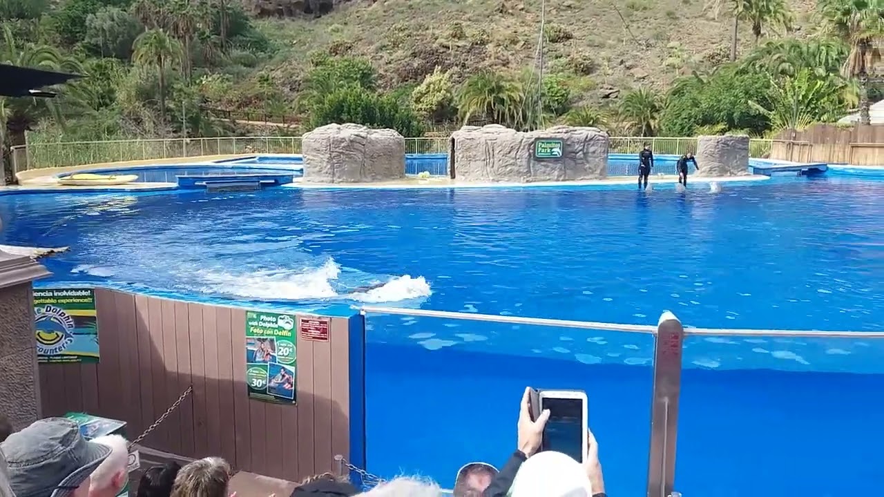 Palmitos Park Gran Canaria