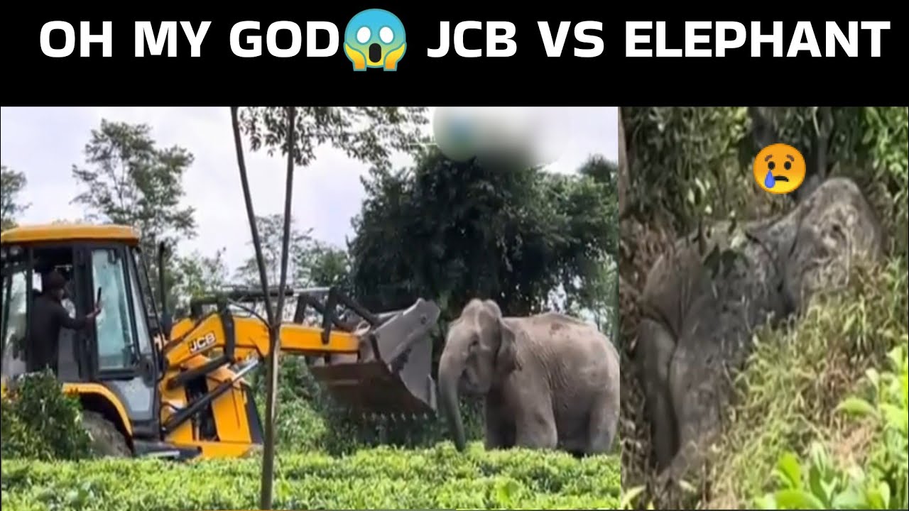 Assam ah sai sual Jcb hmangin an bei chiam mai 😱😲😲😲