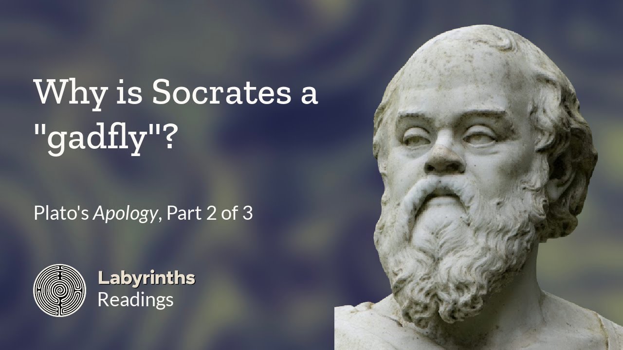 why-is-socrates-a-gadfly-apology-part-2-youtube