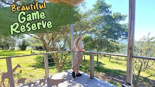 Kzn Game Reserve Gwahumbe