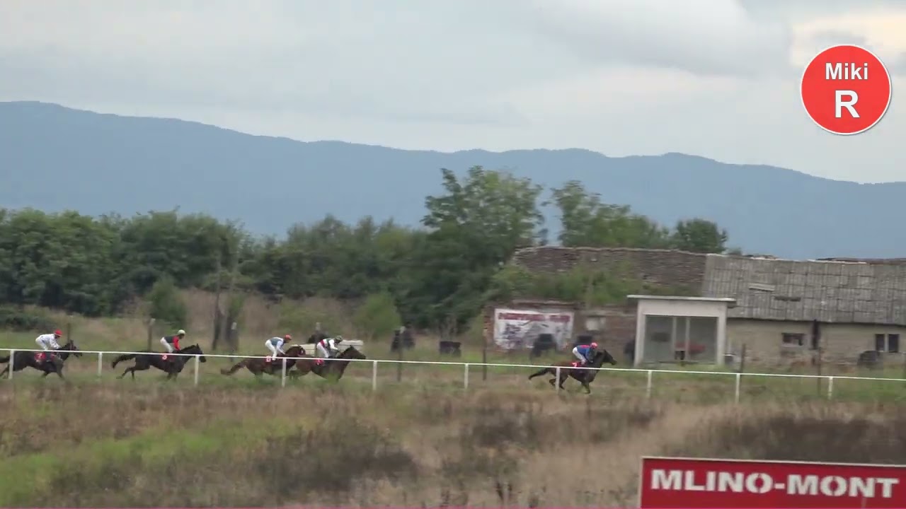 4ta trka memorijal Zivojina Pantelica