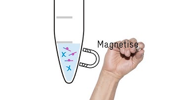 YouSeq NGS kits - Bead clean-up