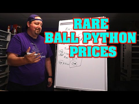BALL PYTHON PRICE FACTORS:  Rarity,  how it changes and how it changes $$$$.