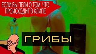 ЕСЛИ БЫ ГРИБЫ ПЕЛИ О ТОМ, ЧТО ПРОИСХОДИТ В КЛИПЕ ВЕЛИК ЕСЛИ БЫ ГРИБЫ ПЕЛИ О ТОМ, ЧТО ПРОИСХОДИТ В КЛИПЕ ВЕЛИК