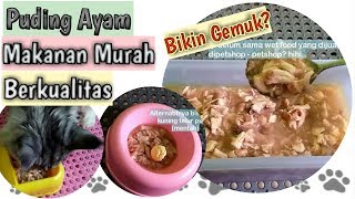 CARA MEMBUAT WET FOOD UNTUK KUCING   Daging Ayam Untuk Kucing   membuat makanan kucing murah