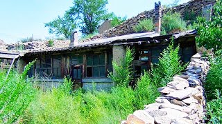 After being fired~ I cleaned the weeds and renovated my grandma's old house~ lived a primitive life