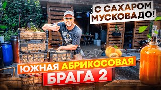видео: Не повторяйте мою ошибку! Почему узбекские абрикосы – не лучший выбор для браги картинка: Не повторяйте мою ошибку! Почему узбекские абрикосы – не лучший выбор для браги