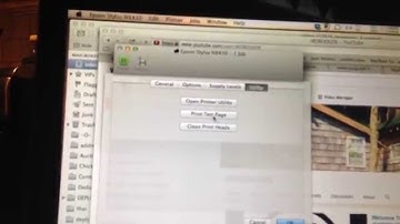 Epson Stylus NX430 filter failed error FIX on a Mac