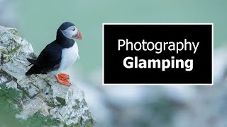 Seabird Photography Glamping Trip with Photography Basecamp