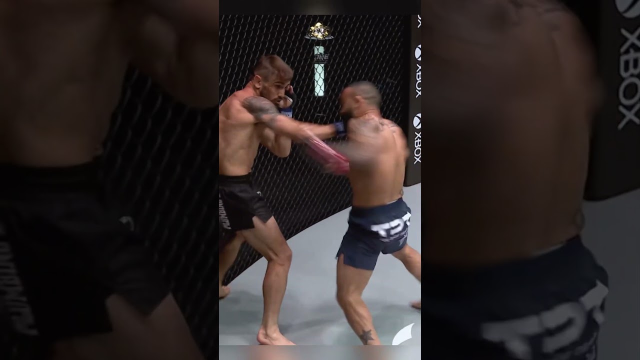 Funniest KO in UFC History 😂💥