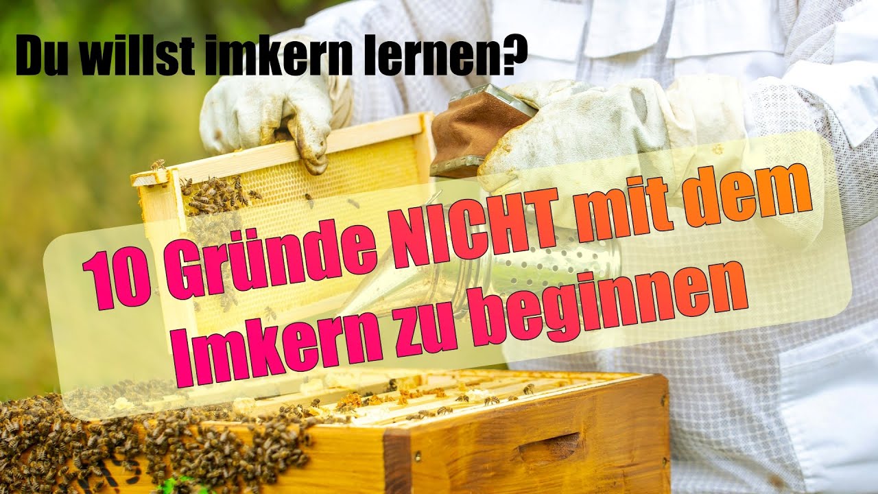 Imkern lernen? 10 Gründe NICHT mit dem Imkern zu beginnen!