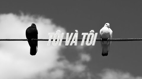 Cá Lóc Lăn Lóc - "Tôi Và Tôi"  | LYRICS VIDEO |