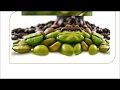 Green coffee bean extract for weight loss review (Pure Green Coffee Bean Max Review)